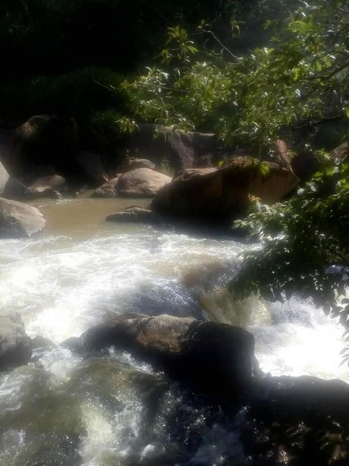 Chale Cabana Ecologico Bueno Brandão Eksteriør billede
